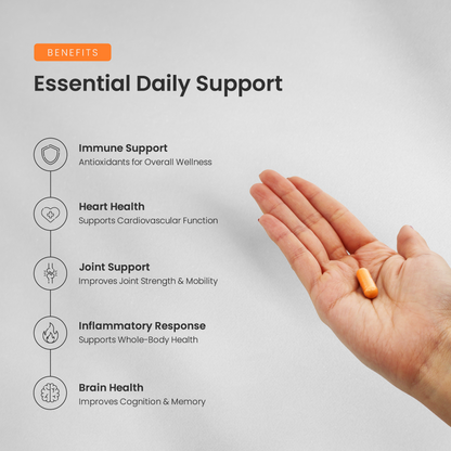Turmeric Curcumin