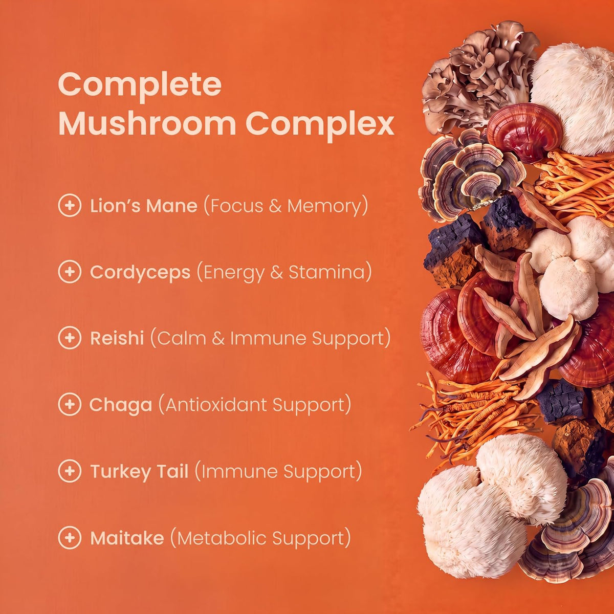 Mushroom Gummies
