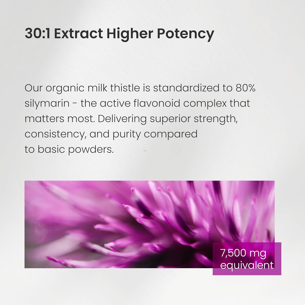 Milk Thistle Capsules