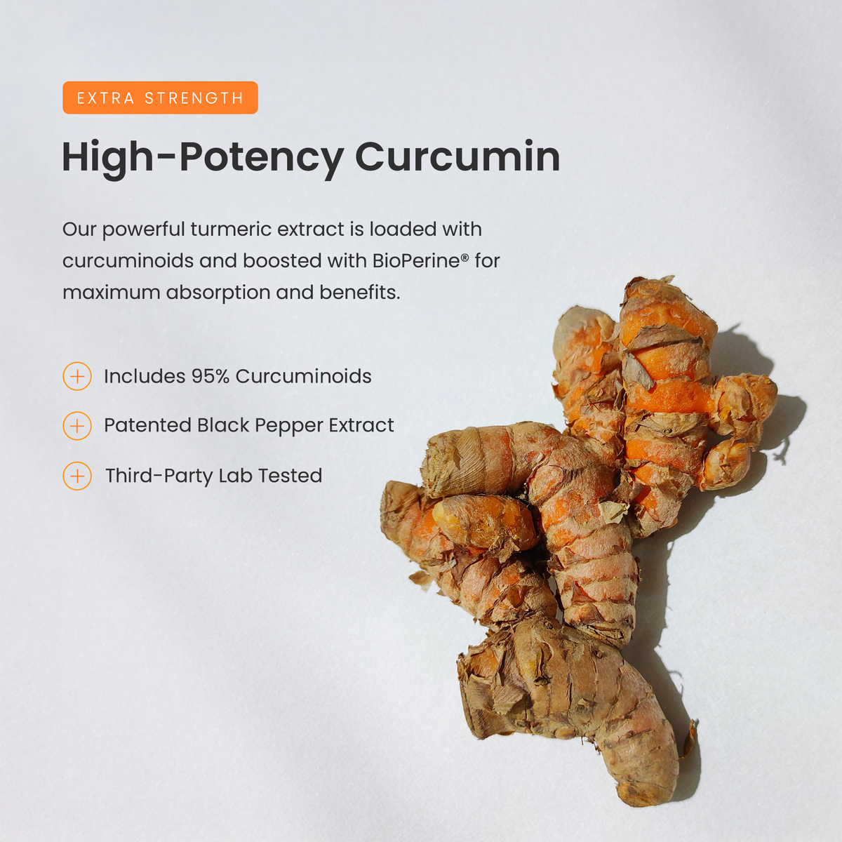 Turmeric Curcumin
