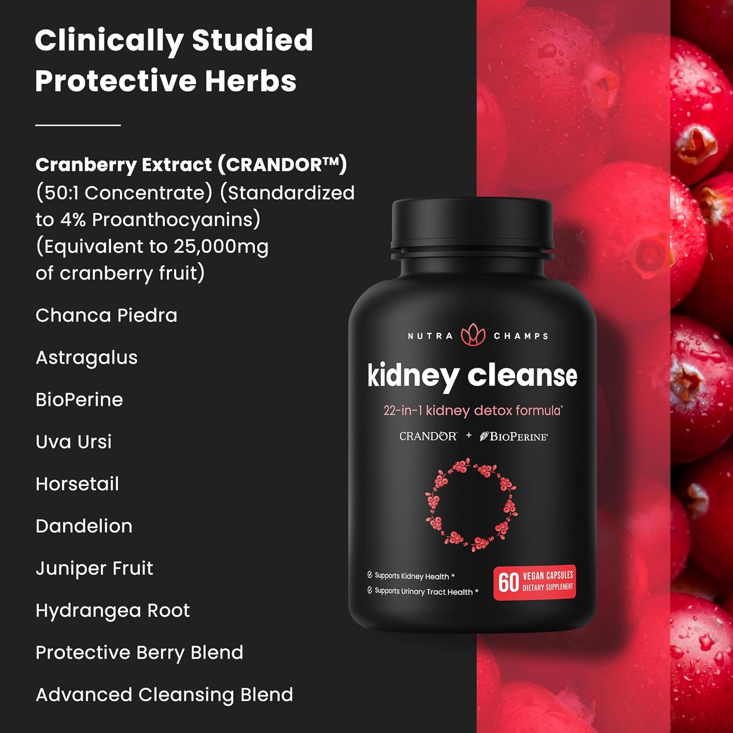 Kidney Cleanse