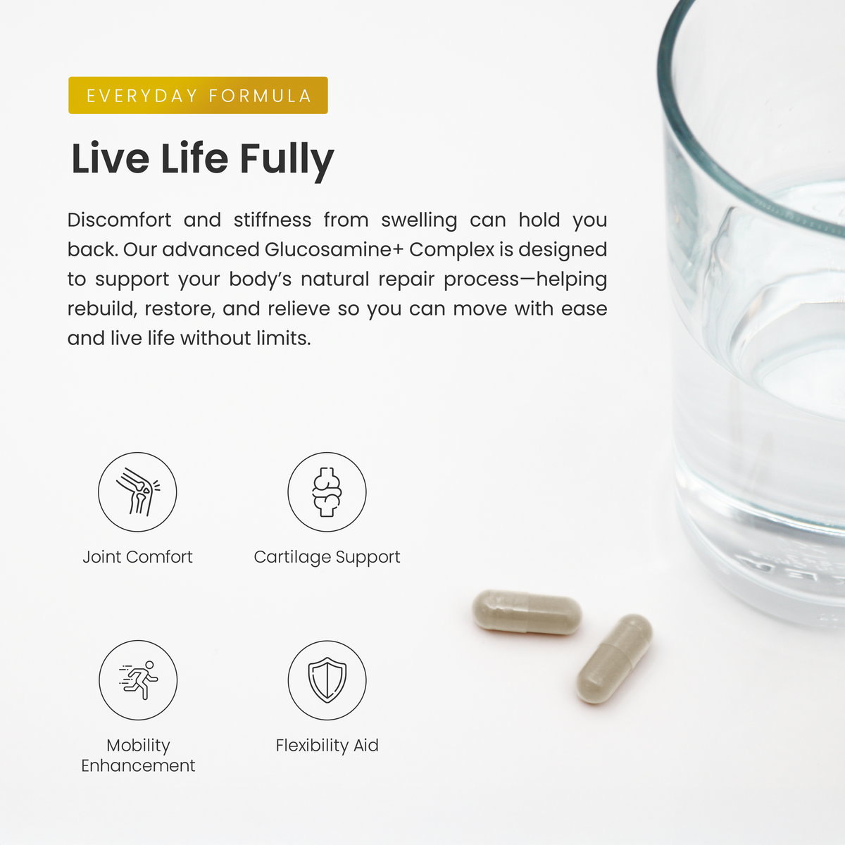 Glucosamine+ Capsules