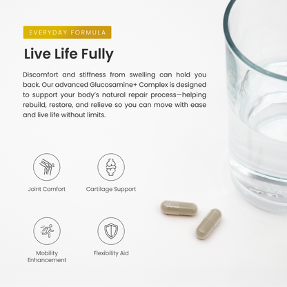 Glucosamine+ Capsules