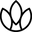 NutraChamps logo