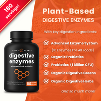 Digestive Enzymes