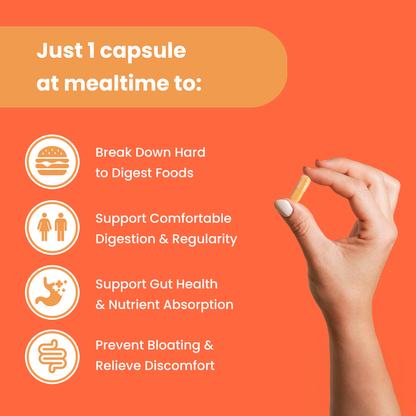 Digestive Enzymes