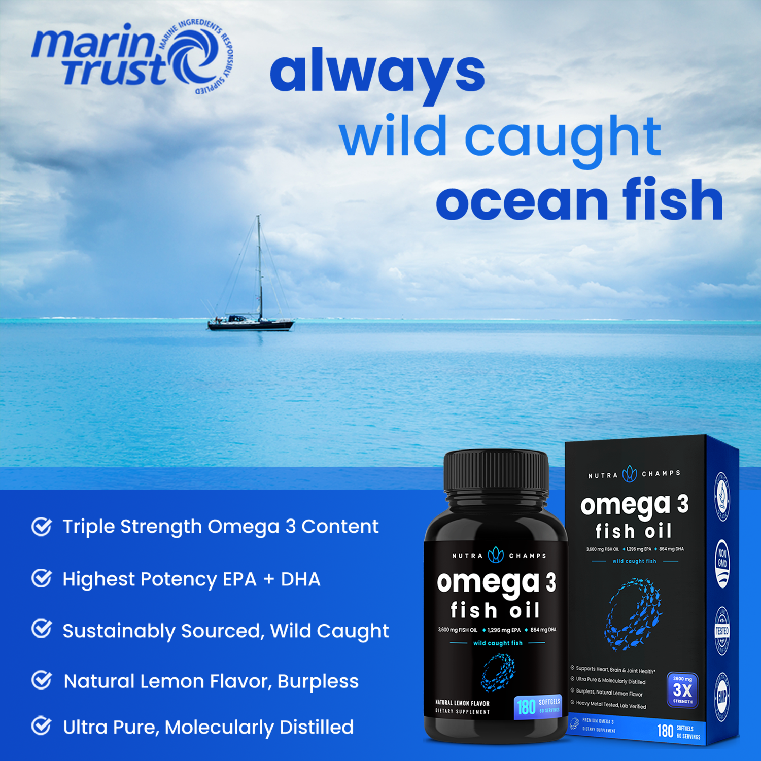 Omega 3 Fish Oil