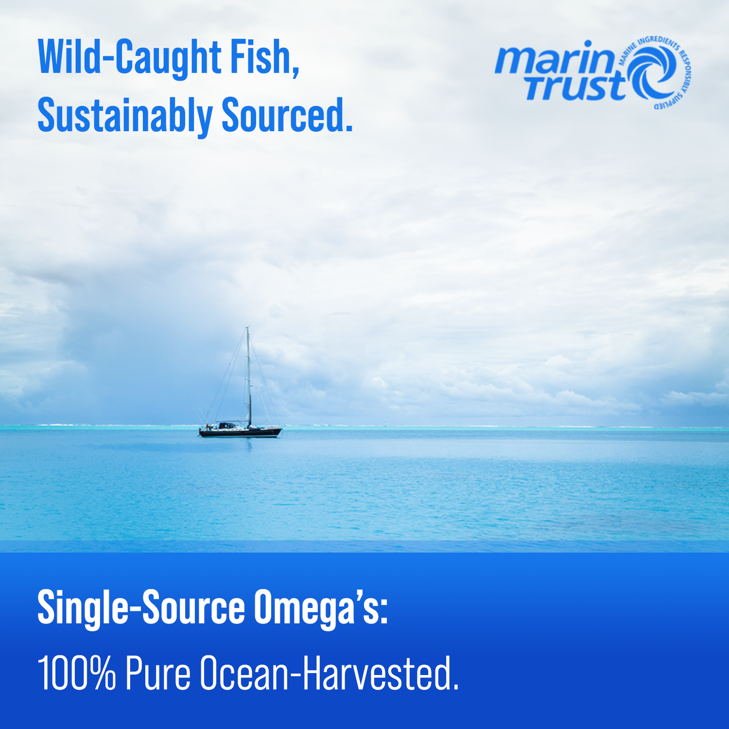 Omega 3 Fish Oil