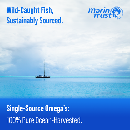 Omega 3 Fish Oil
