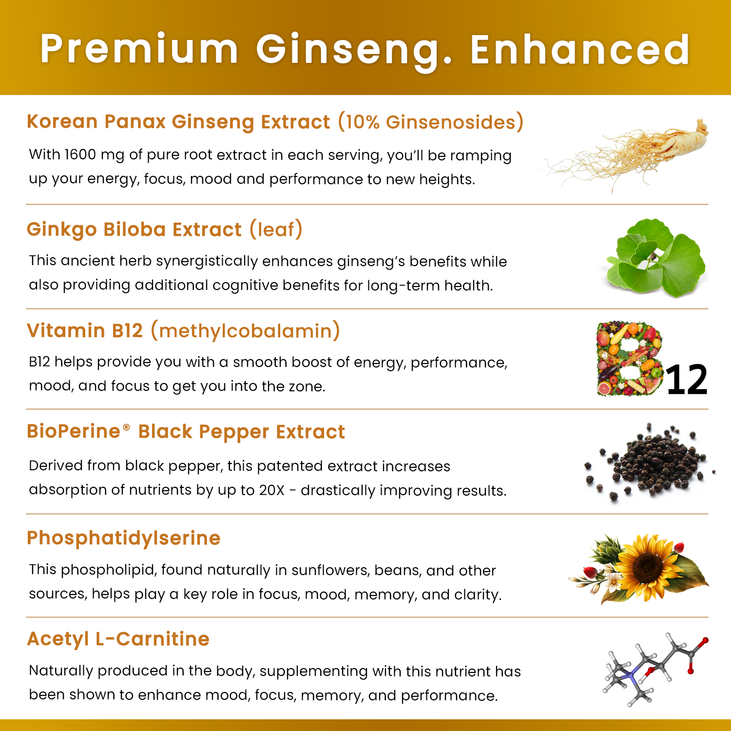 Korean Panax Ginseng & Ginkgo Biloba