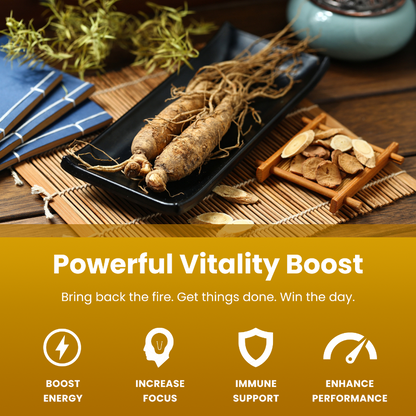 Ginseng + Ginkgo