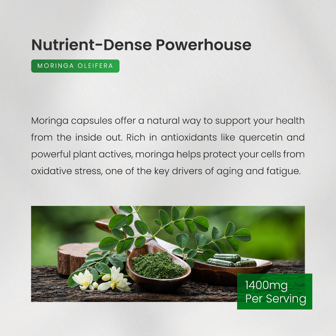 Moringa Capsules