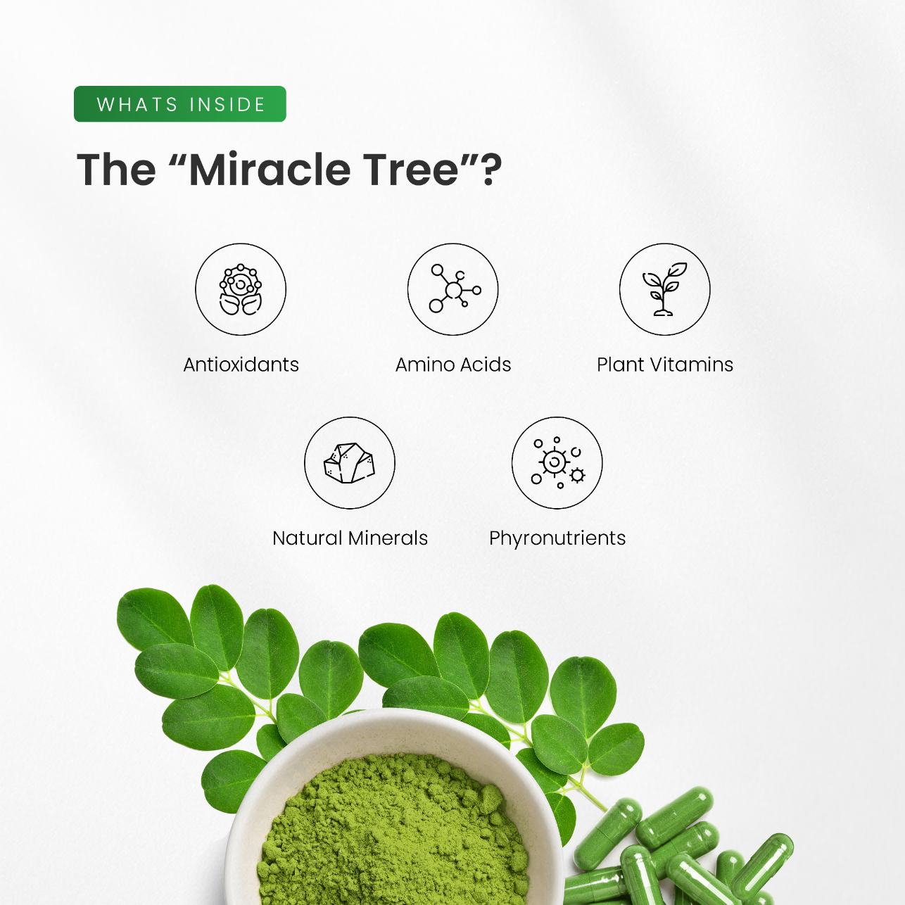 Moringa Capsules