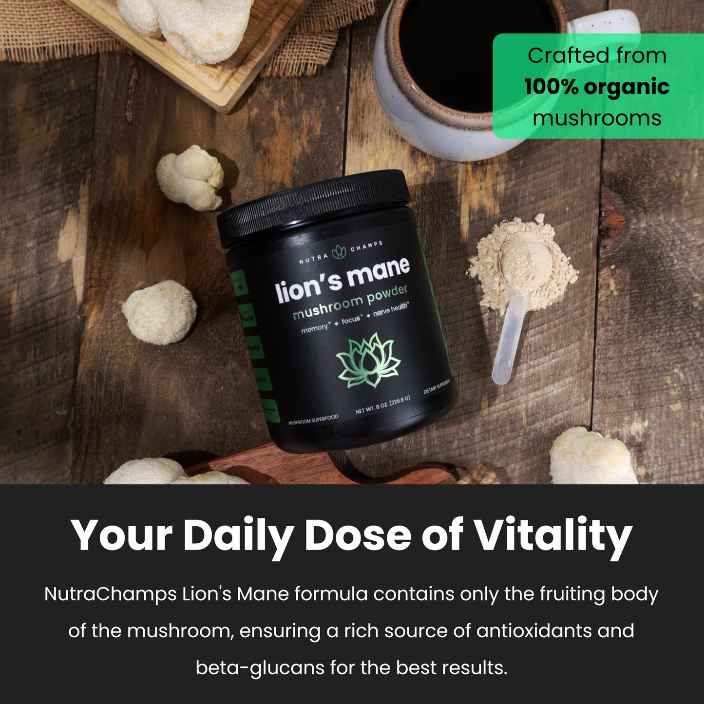 Lion's Mane Powder