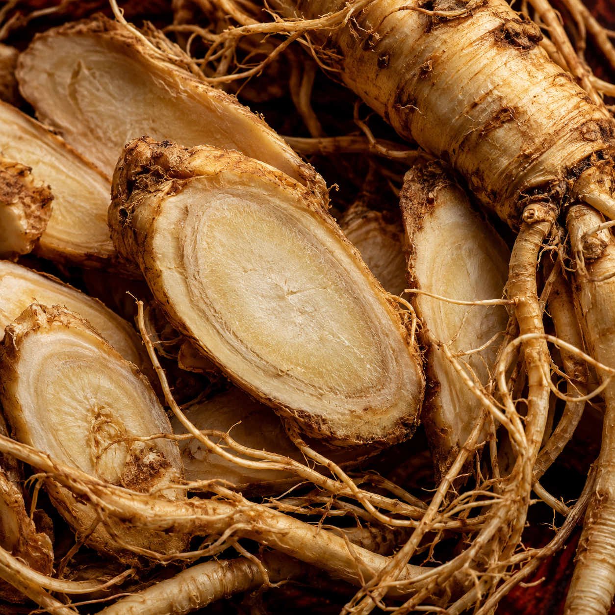 Korean Panax Ginseng Extract