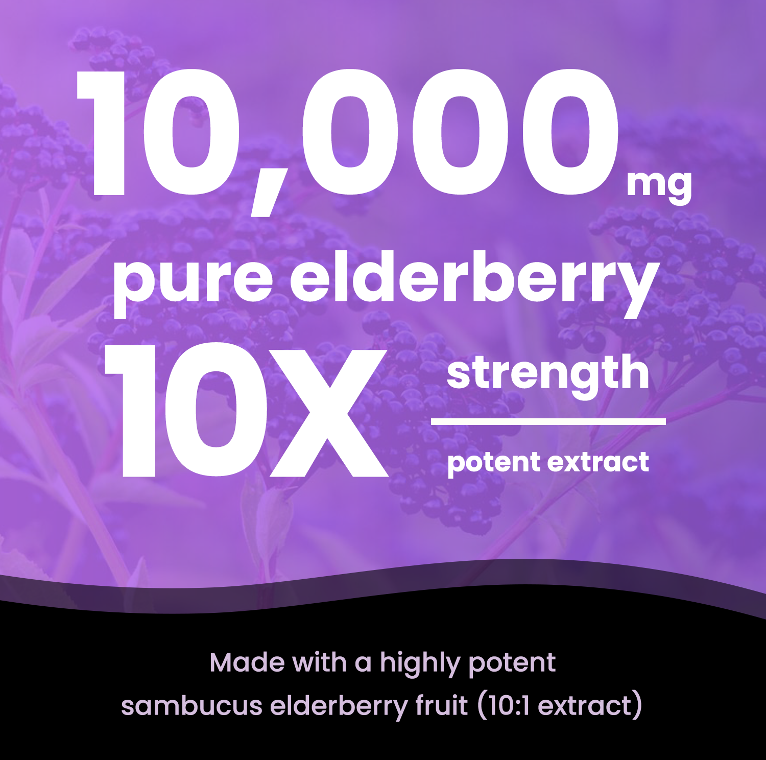 Elderberry Capsules