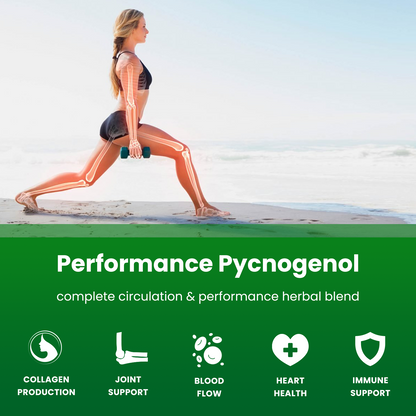 Pycnogenol®